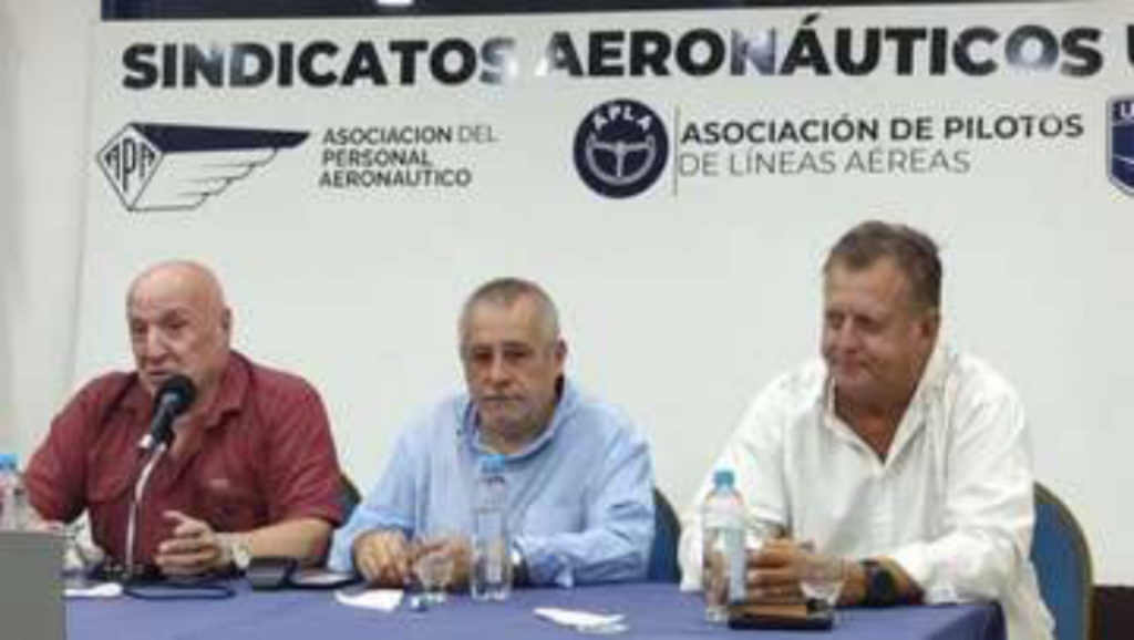 Aeronáuticos denuncian penalmente a Milei por irregularidades en la venta de&nbsp;Intercargo