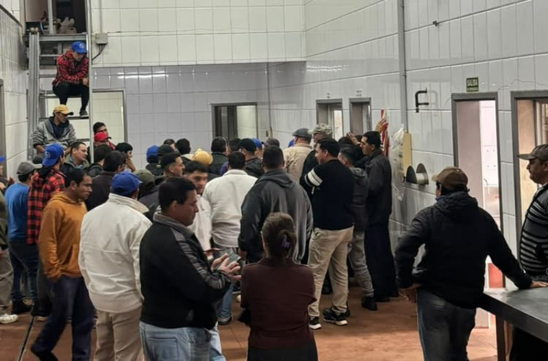 97 despidos por el cierre del frigorífico Ganadera El Porvenir en Apóstoles